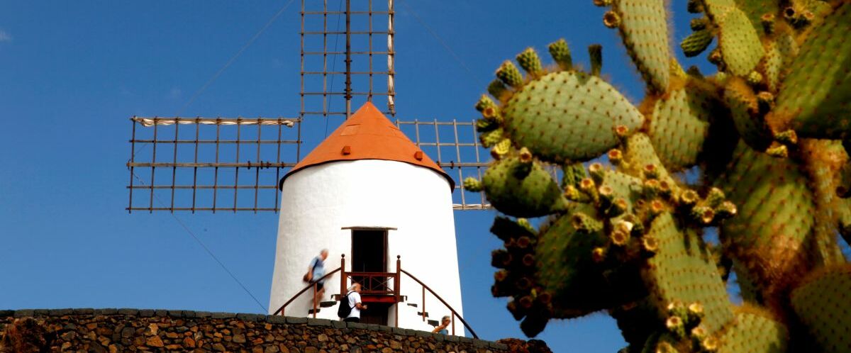 LANZAROTE-Guatiza-Kakteengarten_© Instituto de Turismo de España, TURESPAÑA