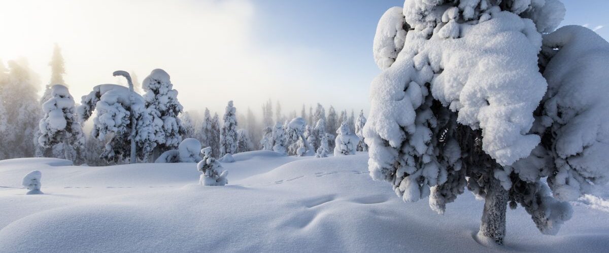 Winterlandschaft (c) VisitFinland