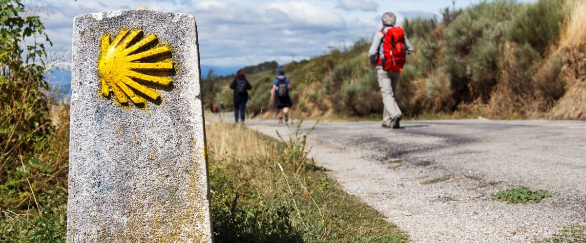 The yellow scallop shell signing the way to santiago de composte