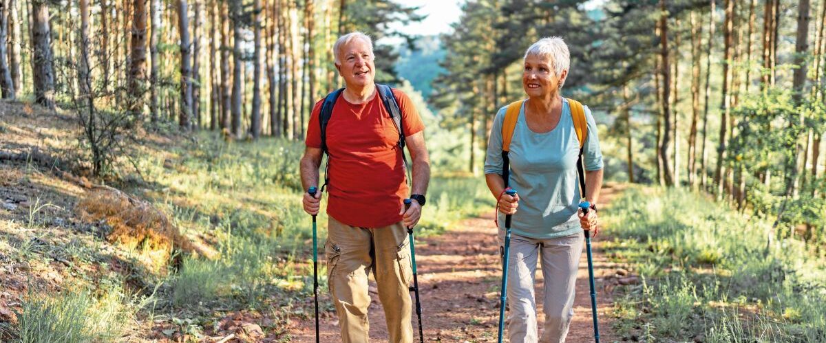 Senior hikers enjoying walk in the forest