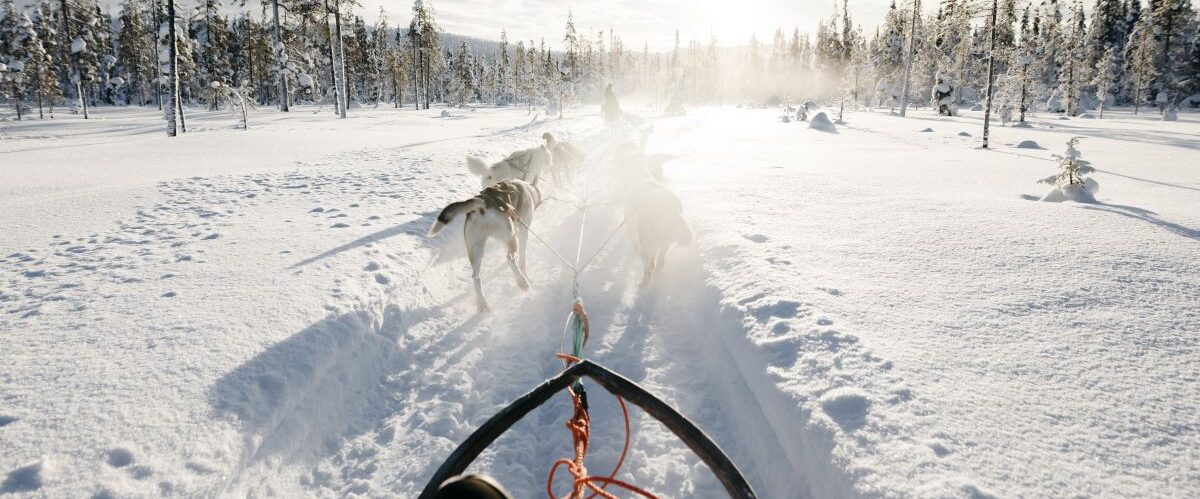 Husky sleigh ride in Ylläs_© Lapland Hotels & Safaris