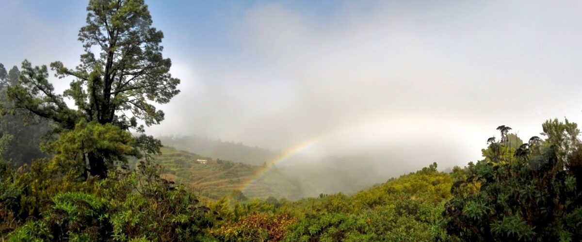 La Palma (3)_© Instituto de Turismo de España, TURESPAÑA