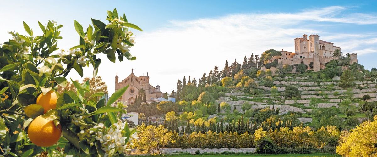 Spain, Mallorca, Arta, Grassy field in front of Santuari de Sant Salvador