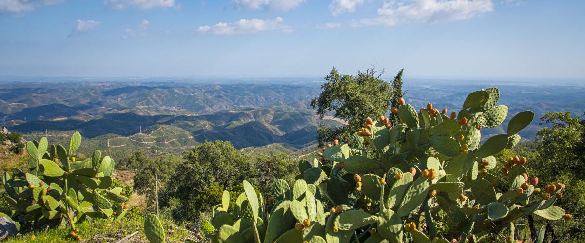 Wandern an der Algarve © gettyimages